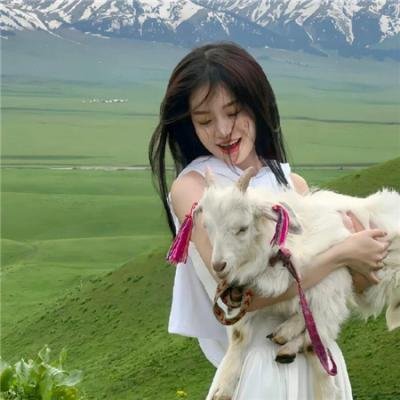 《完美母亲》海报